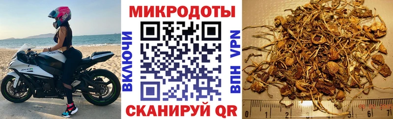 Псилоцибиновые грибы мицелий  Купить  Дзержинский 